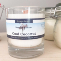 Bumble and Blue Cool Coconut Wooden Wick Candle