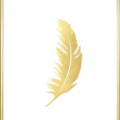 Desenio Gold Feather print