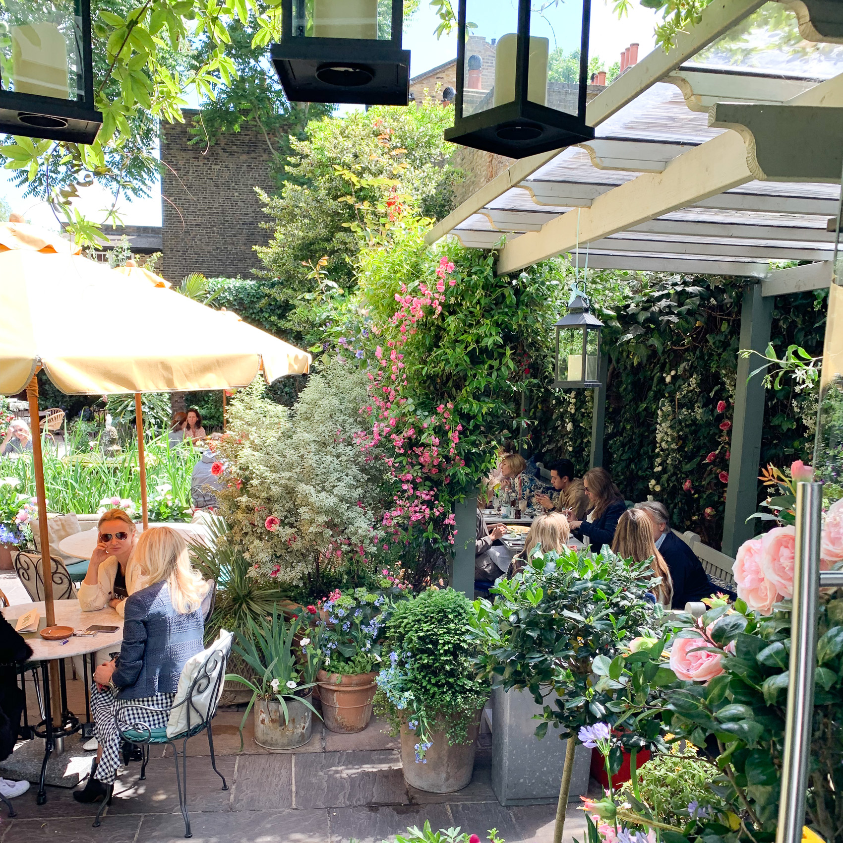 The Ivy Chelsea Garden King's Road London