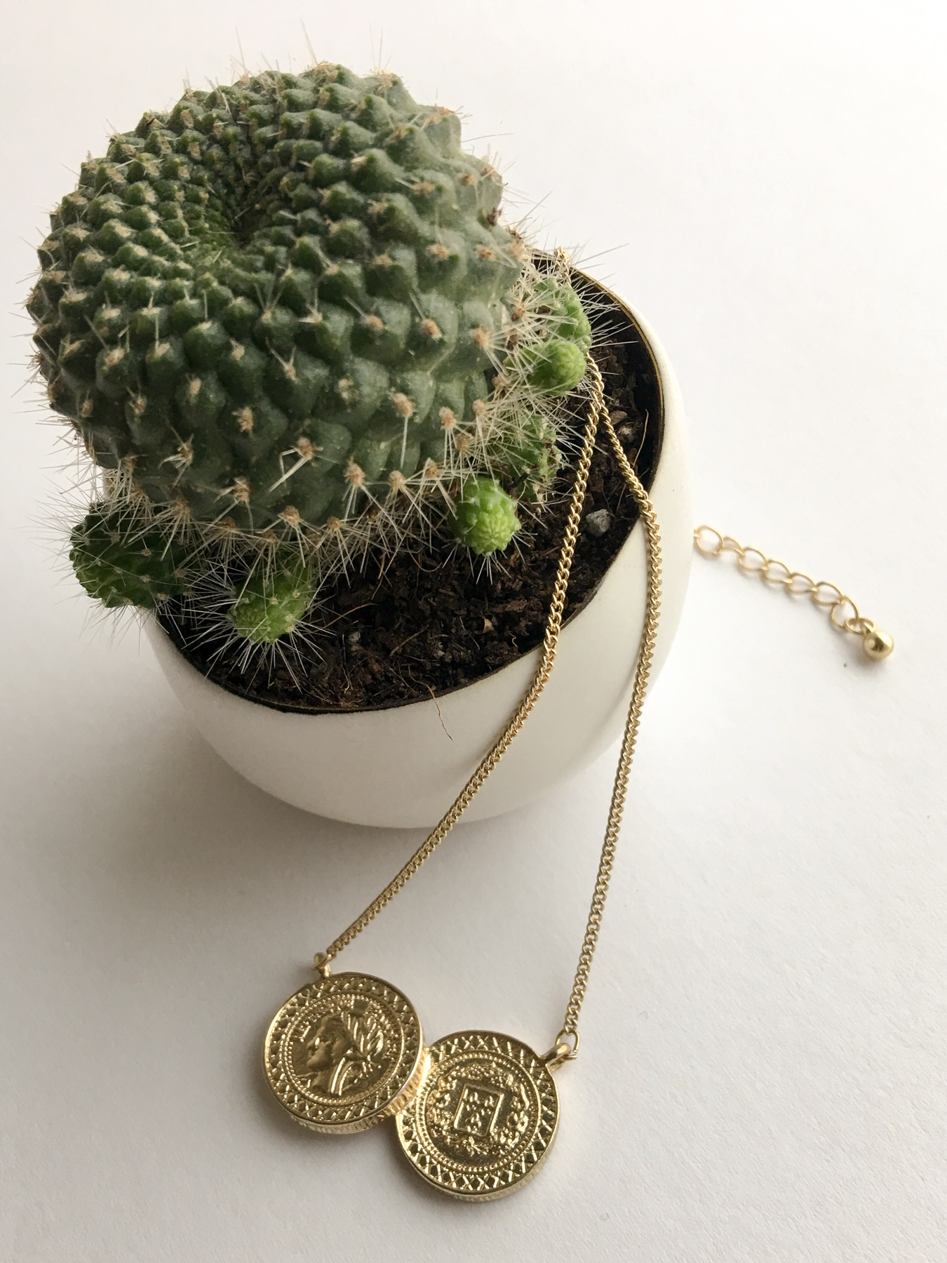 Kate-Spade-Necklace-and-Cactus.jpg