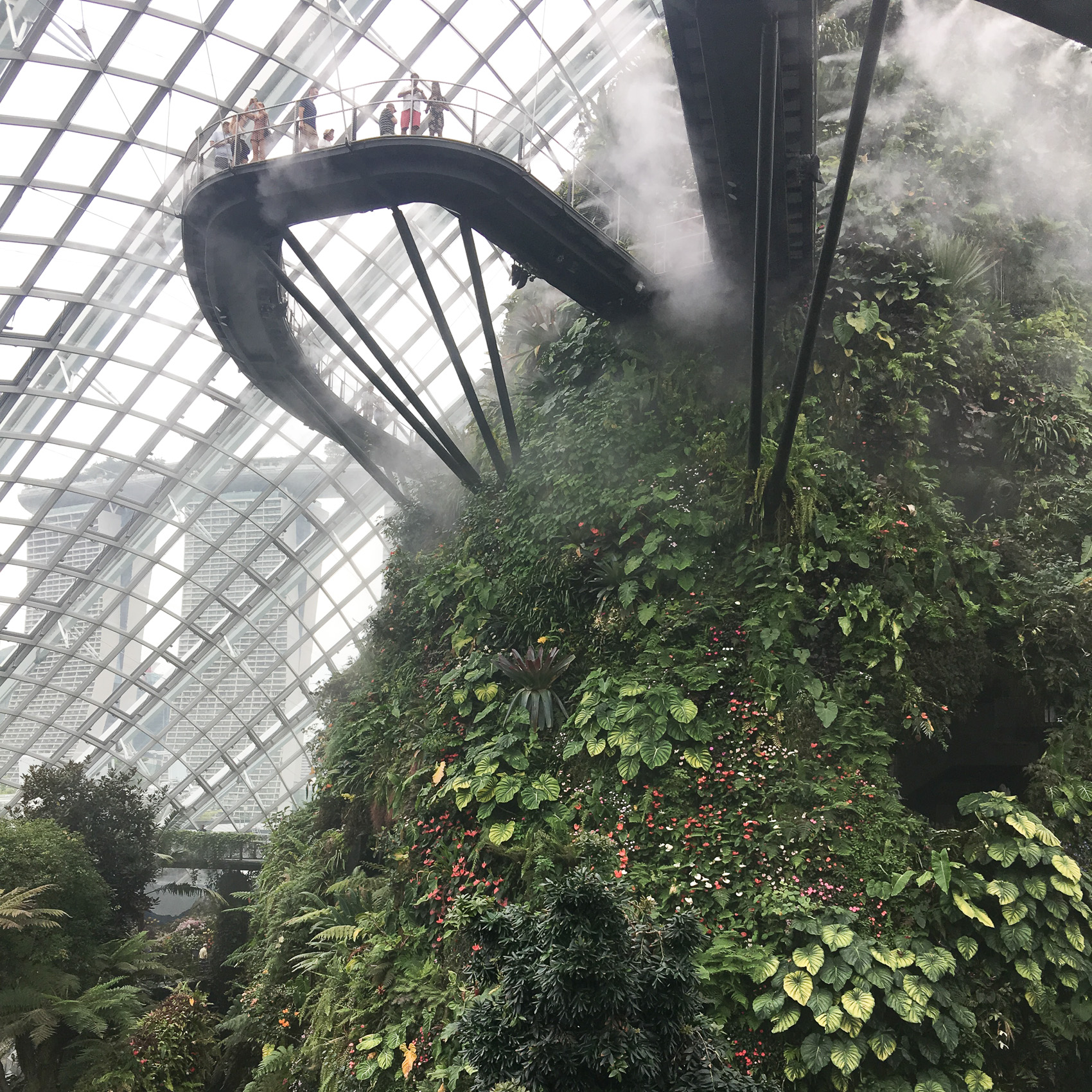 Gardens by the Bay singapore